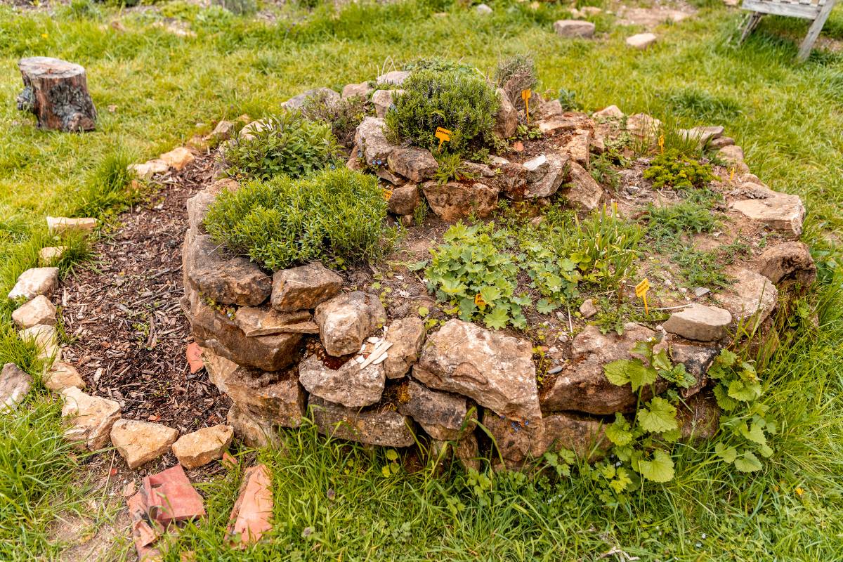 Herb Spirals A Permaculture Technique for Growing Healthy Herbs The